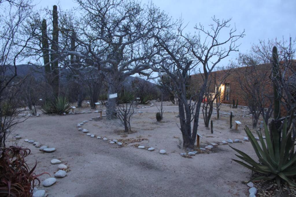 ラパス Rancho Campestre El Anconヴィラ エクステリア 写真