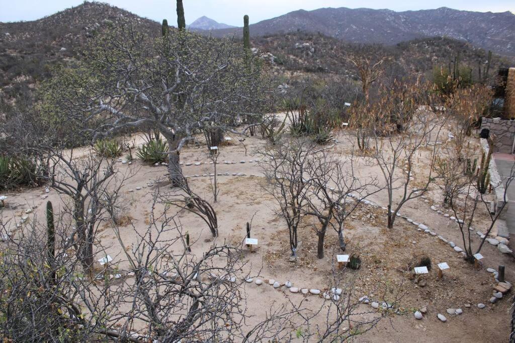 ラパス Rancho Campestre El Anconヴィラ エクステリア 写真